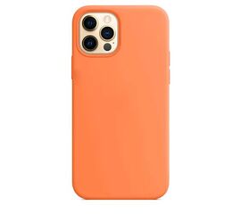Чехол силиконовый для iPhone 12 mini Silicone Case MagSafe Kumquat - Сервис Плюс Рус