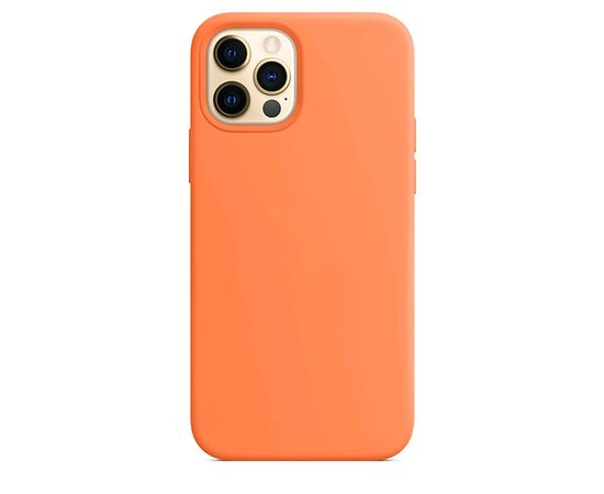 Чехол силиконовый для iPhone 12 / iPhone 12 Pro Silicone Case MagSafe Kumquat Apple - Сервис Плюс Рус