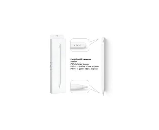 Apple Pencil, 2-го поколения (OEM) - Сервис Плюс Рус