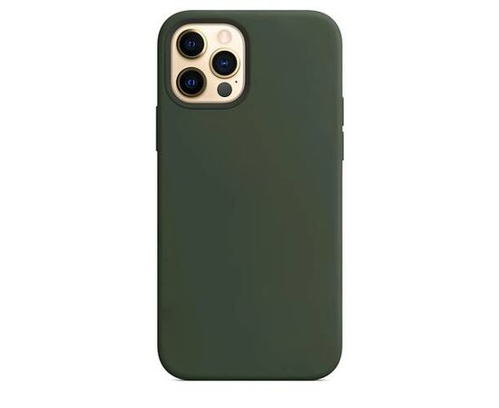 Чехол силиконовый для iPhone 12 mini Silicone Case MagSafe Cyprus Green - Сервис Плюс Рус
